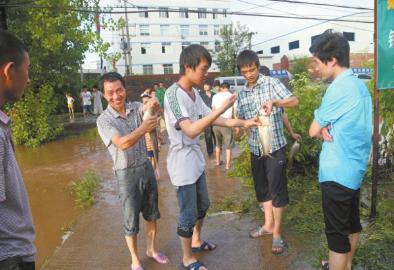 四川达州暴雨万斤鱼儿游上公路 市民停车捡鱼